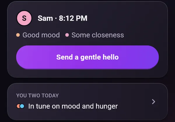 Home: Sam checked in at 8:12 PM with Good mood and Some closeness, a Send a gentle hello button, and 'You two today: In tune on mood and hunger'.